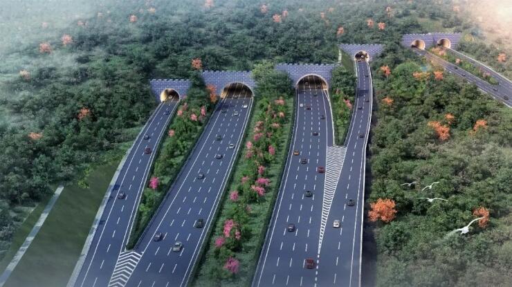 杭温高铁、杭甬高速复线、金丽温高速、衢丽铁路……浙江一批交通项目迎来新进展