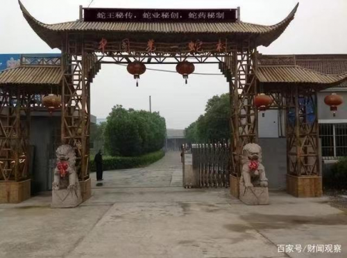 浙江湖州德清子思桥村，被称为“中国第一蛇村”